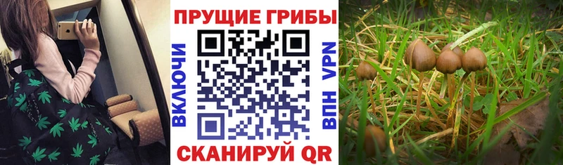 Псилоцибиновые грибы ЛСД  Исилькуль 